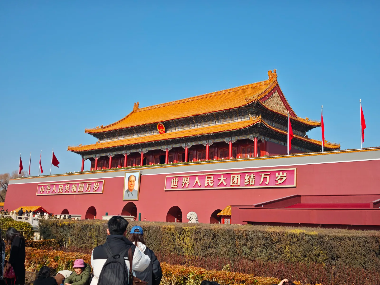 大学生活照片（2026-02-12）